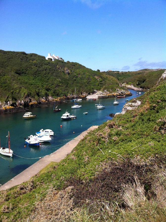 Ramsey House - Luxury Licensed B&B - Parking And Guest Lounge St. Davids  Buitenkant foto