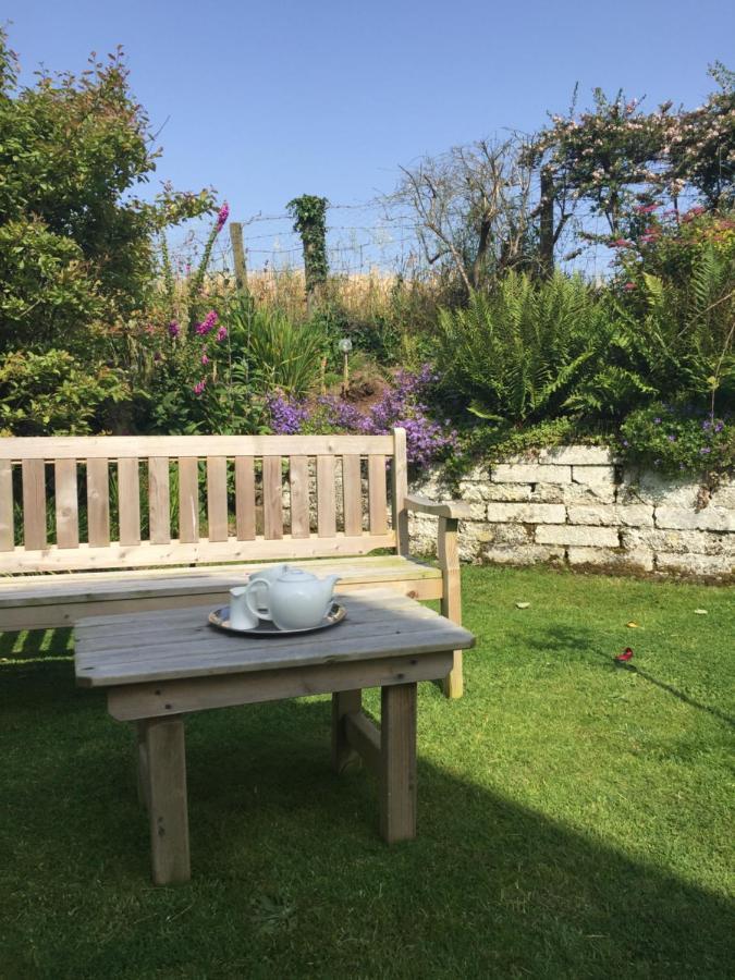 Ramsey House - Luxury Licensed B&B - Parking And Guest Lounge St. Davids  Buitenkant foto