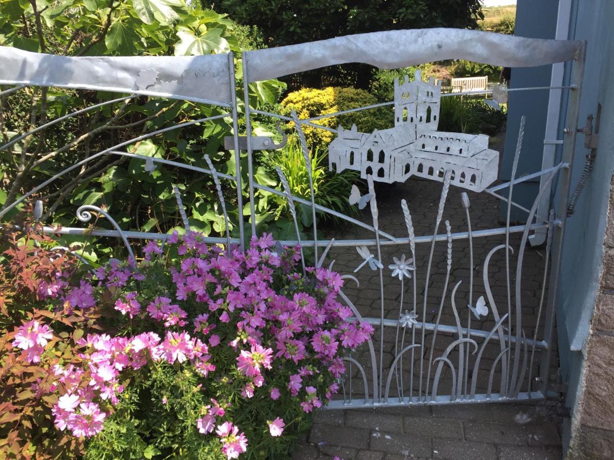 Ramsey House - Luxury Licensed B&B - Parking And Guest Lounge St. Davids  Buitenkant foto