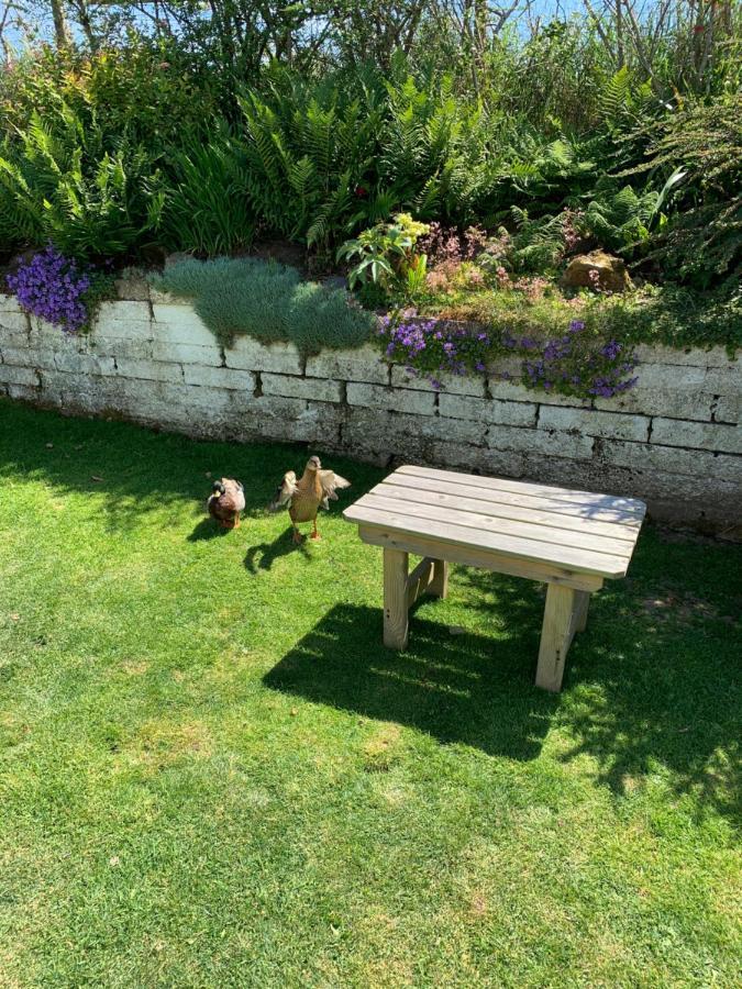 Ramsey House - Luxury Licensed B&B - Parking And Guest Lounge St. Davids  Buitenkant foto