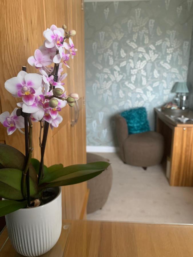 Ramsey House - Luxury Licensed B&B - Parking And Guest Lounge St. Davids  Buitenkant foto